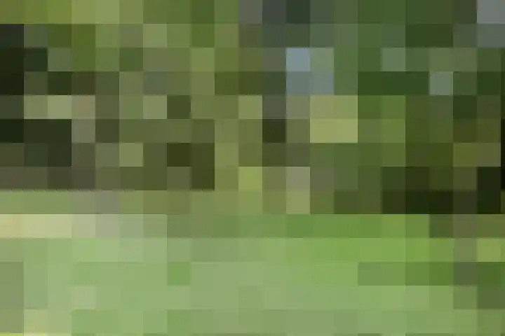 Julianalaan 64 Oss thumbnail 27