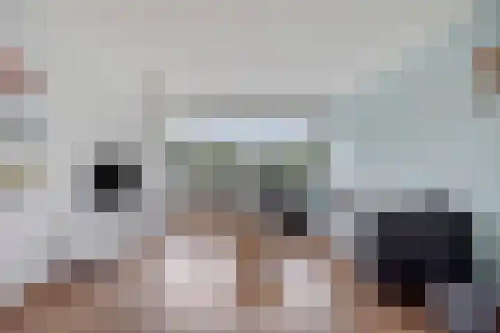 Julianalaan 64 Oss thumbnail 4