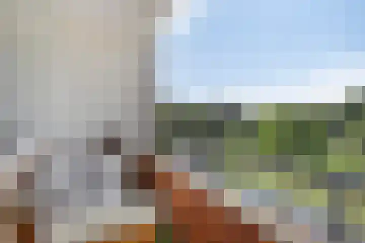 Julianalaan 64 Oss thumbnail 6