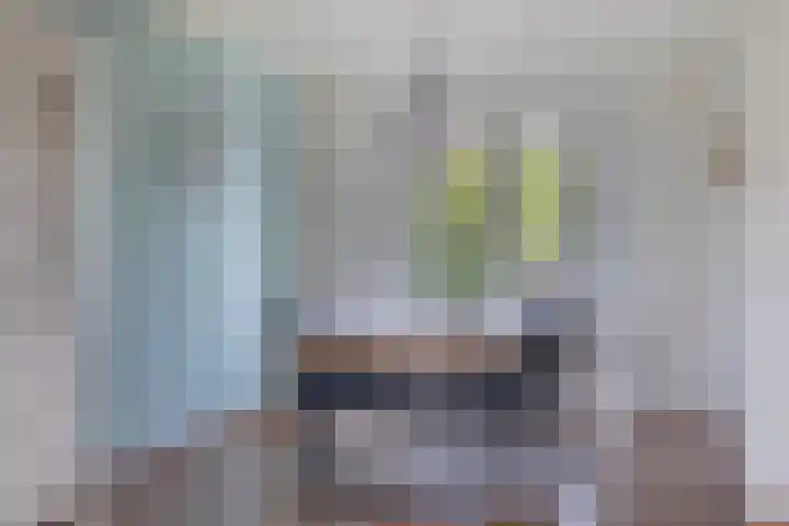 Julianalaan 64 Oss thumbnail 9