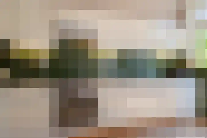 Julianalaan 64 Overveen thumbnail 18