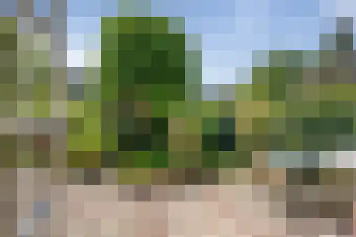 Julianalaan 64 Overveen thumbnail 21