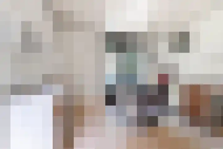 Julianalaan 64 Overveen thumbnail 24