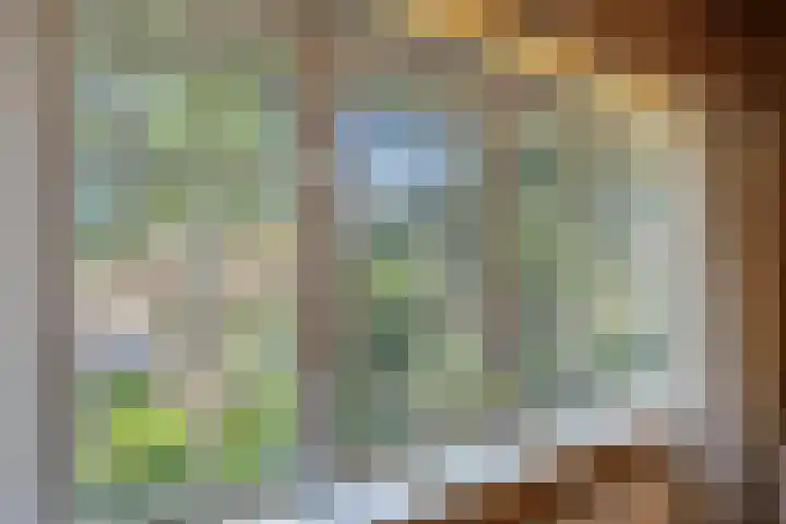 Julianalaan 64 Overveen thumbnail 40