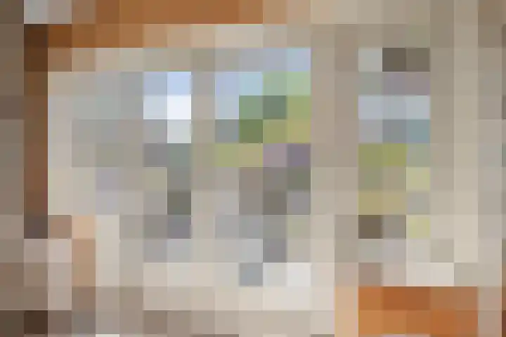 Julianalaan 64 Overveen thumbnail 44