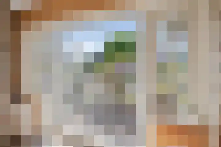 Julianalaan 64 Overveen thumbnail 45