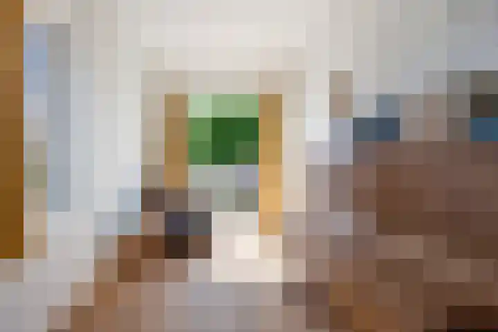 Julianalaan 64 Overveen thumbnail 50