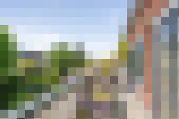 Julianalaan 64 Overveen thumbnail 52