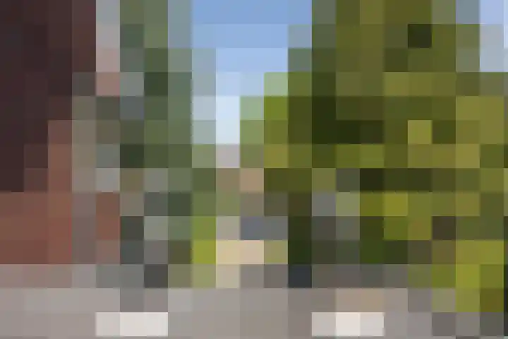 Julianalaan 64 Overveen thumbnail 54