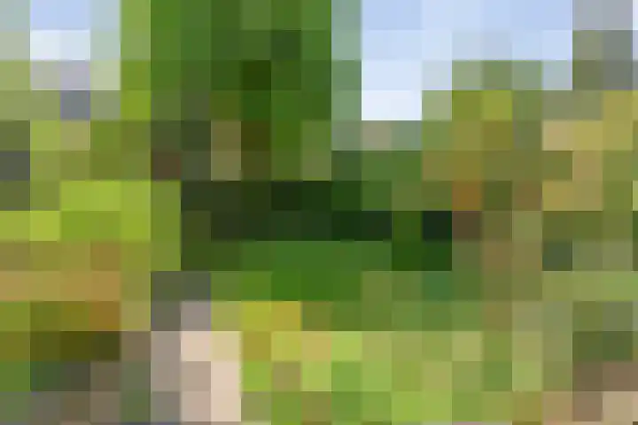 Julianalaan 64 Overveen thumbnail 64