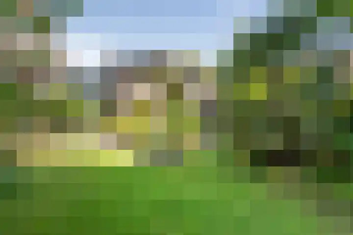 Julianalaan 64 Overveen thumbnail 65