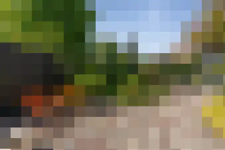 Julianalaan 64 Overveen thumbnail 70