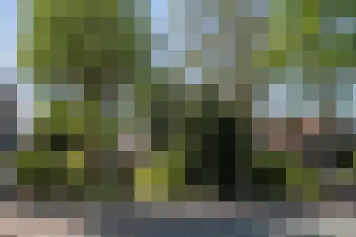 Julianalaan 64 Overveen thumbnail 73