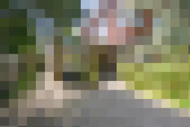 Julianalaan 64 Overveen thumbnail 74