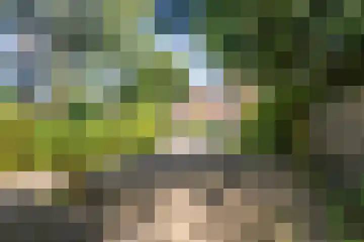 Julianalaan 64 Overveen thumbnail 76