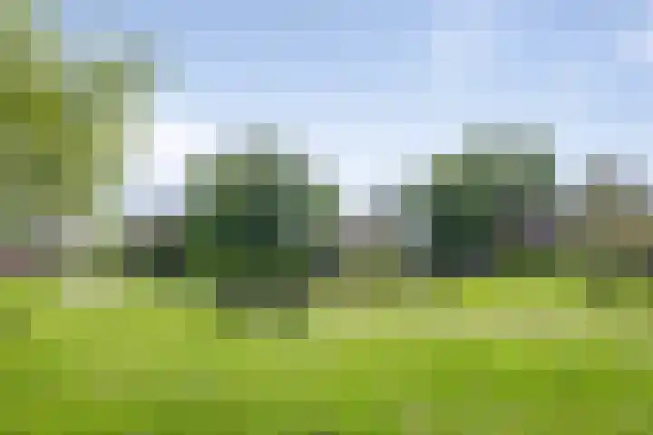 Julianalaan 64 Overveen thumbnail 77