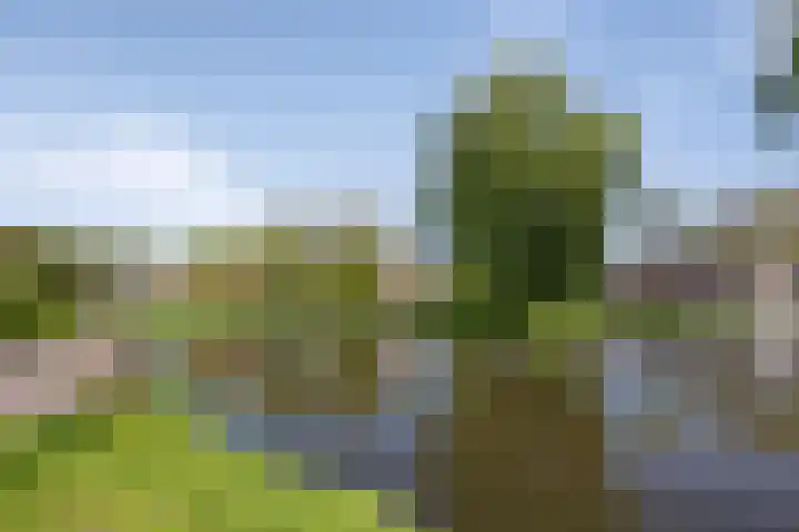 Julianalaan 64 Overveen thumbnail 78
