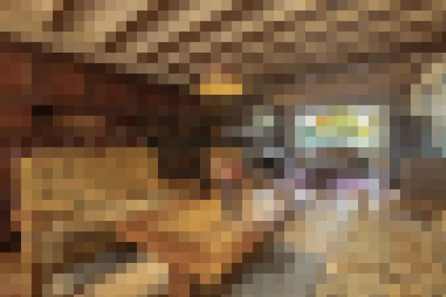 Julianalaan 64 Papenhoven thumbnail 11