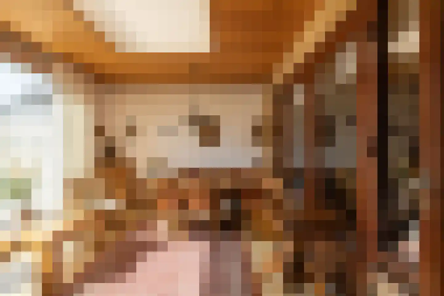 Julianalaan 64 Papenhoven thumbnail 15