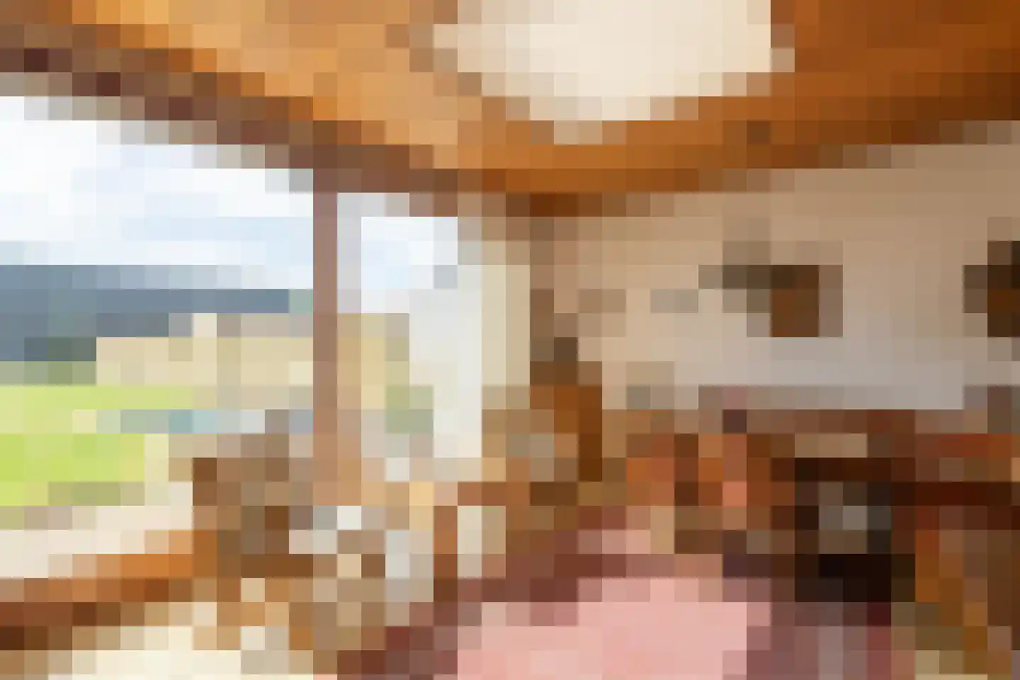 Julianalaan 64 Papenhoven thumbnail 16