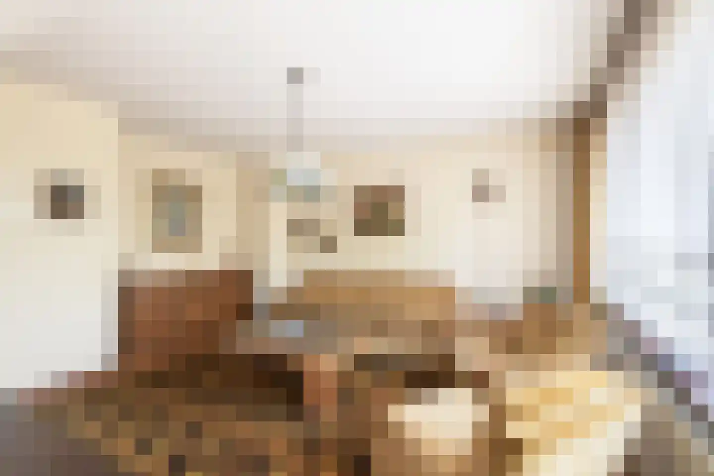 Julianalaan 64 Papenhoven thumbnail 32
