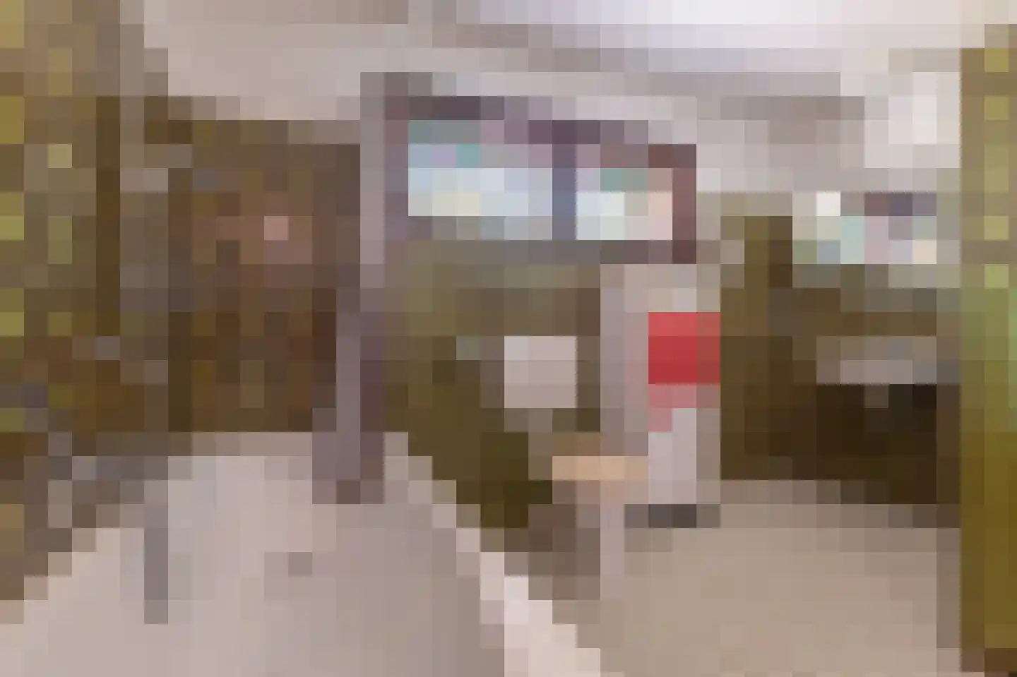 Julianalaan 64 Papenhoven thumbnail 34