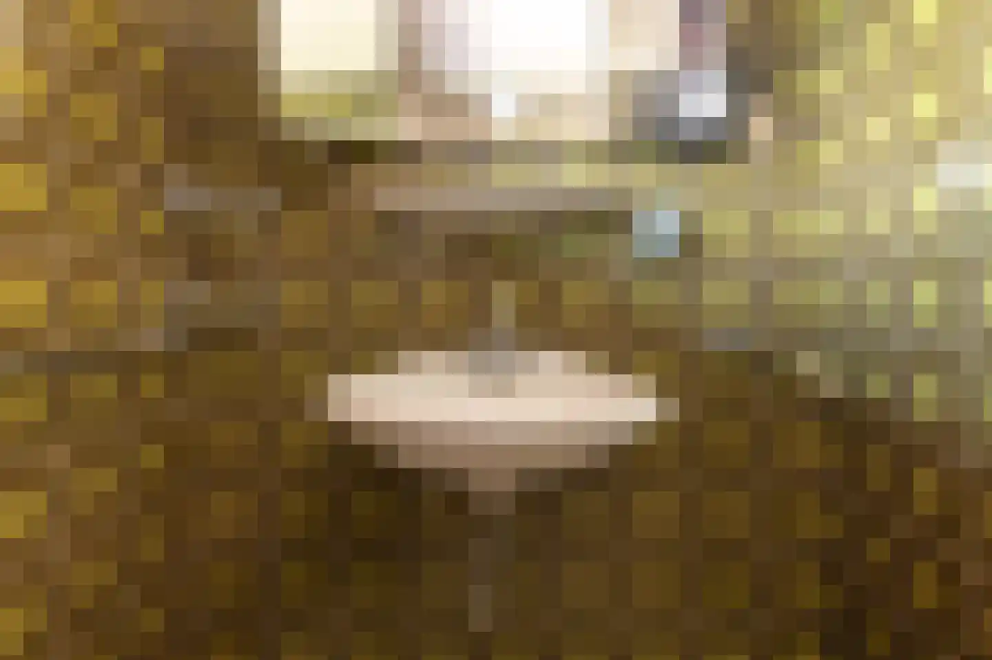 Julianalaan 64 Papenhoven thumbnail 35