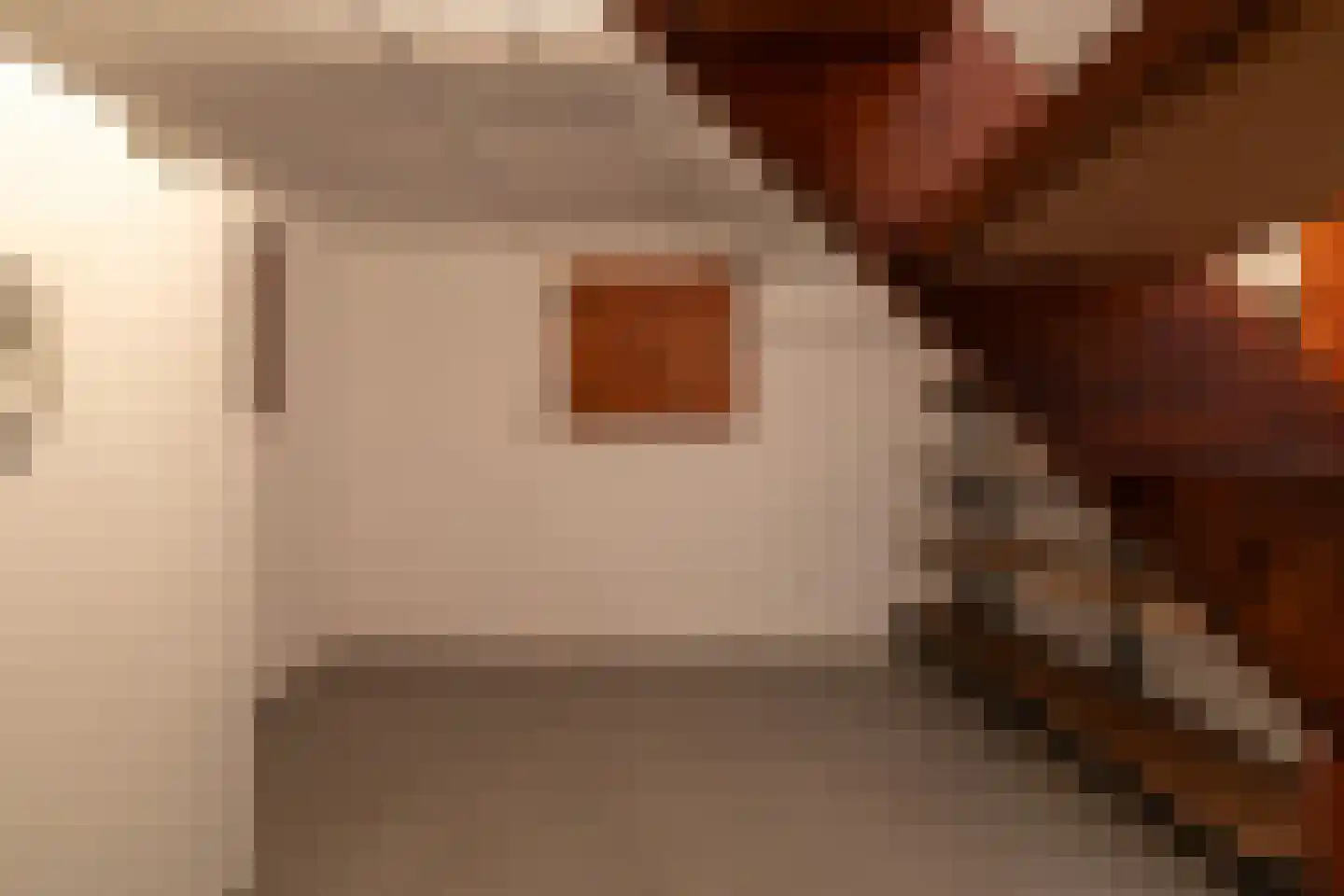 Julianalaan 64 Papenhoven thumbnail 40