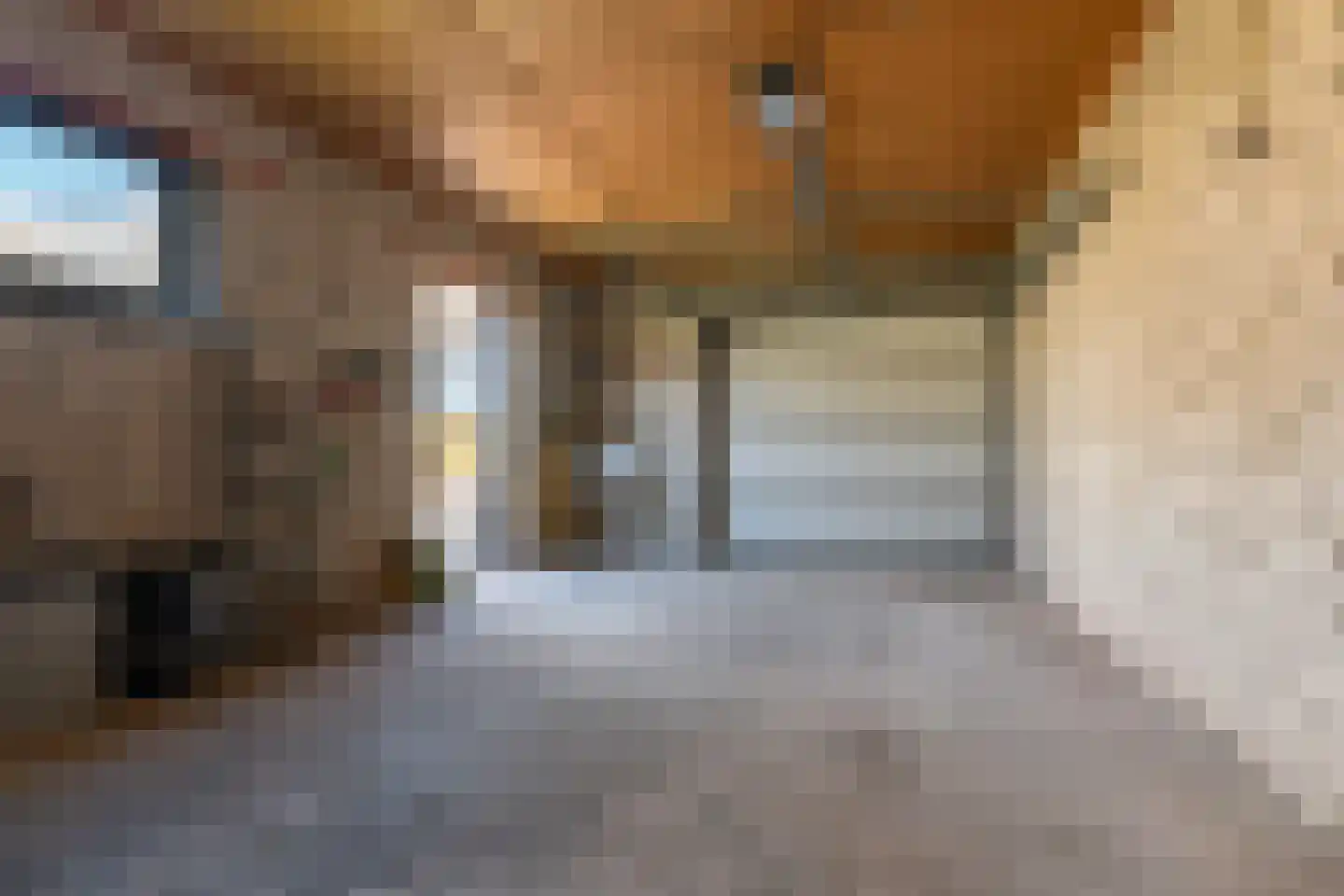 Julianalaan 64 Papenhoven thumbnail 42