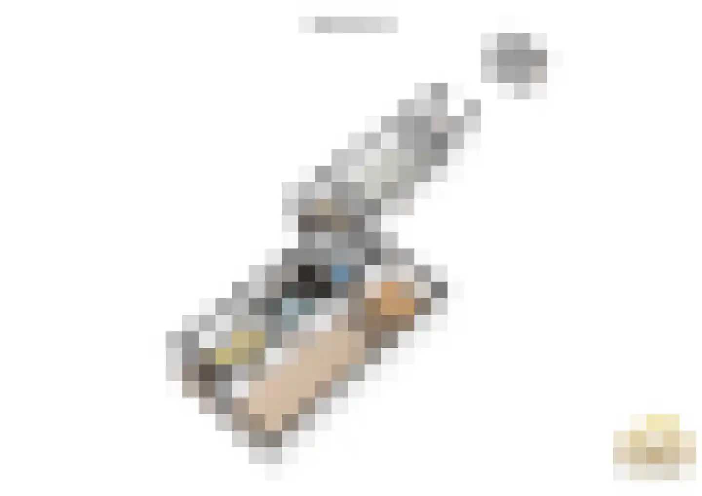 Julianalaan 64 Papenhoven thumbnail 54