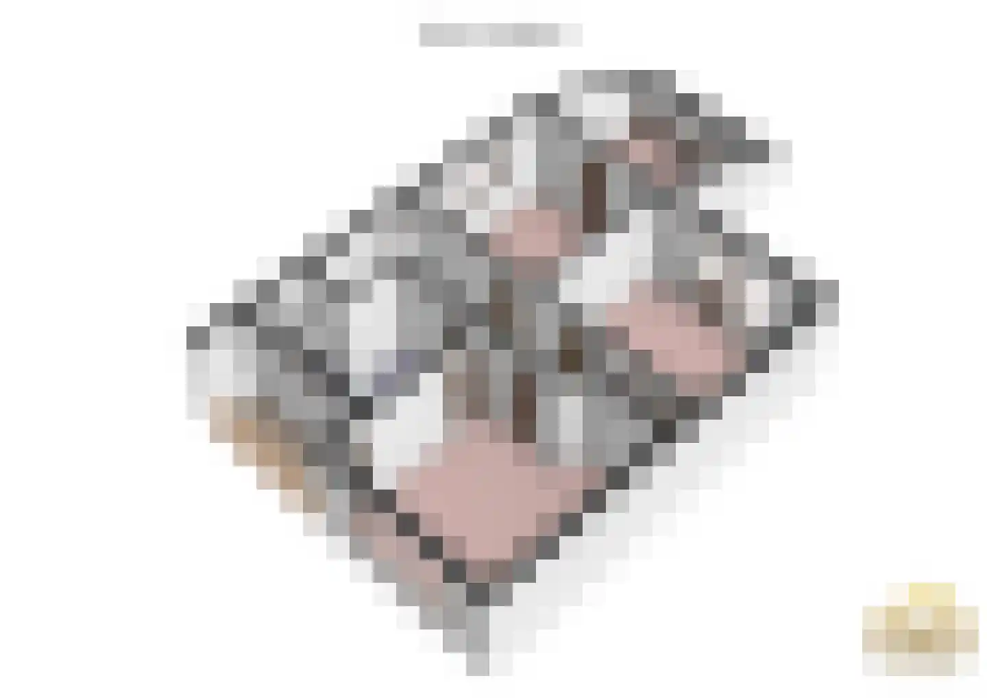 Julianalaan 64 Papenhoven thumbnail 56