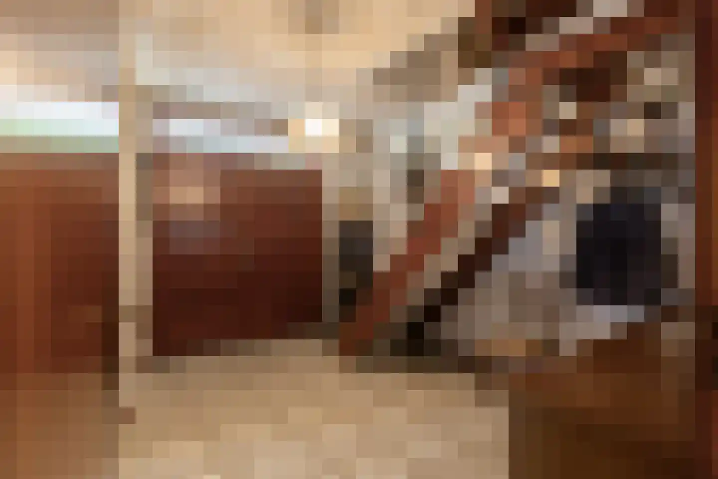 Julianalaan 64 Papenhoven thumbnail 9