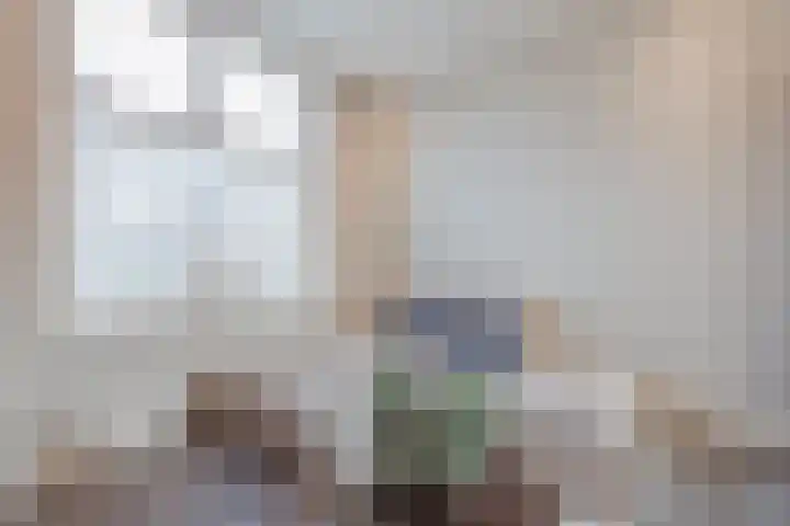 Julianalaan 64 Raamsdonksveer thumbnail 14