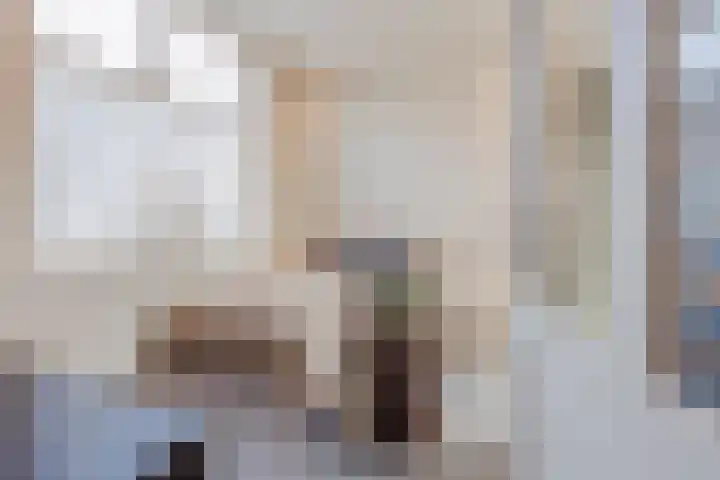 Julianalaan 64 Raamsdonksveer thumbnail 33