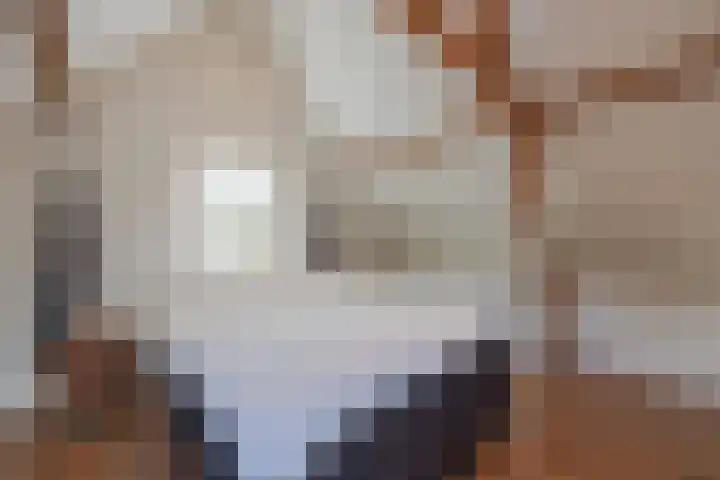 Julianalaan 64 Raamsdonksveer thumbnail 34