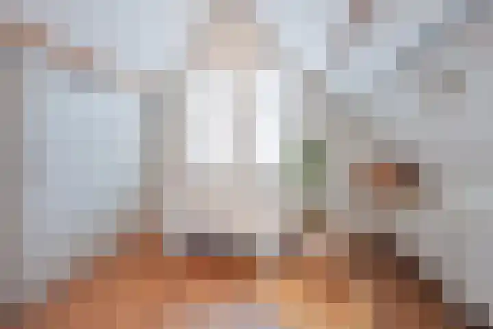 Julianalaan 64 Raamsdonksveer thumbnail 37