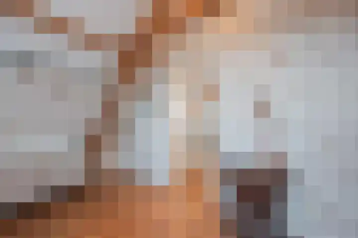 Julianalaan 64 Raamsdonksveer thumbnail 38