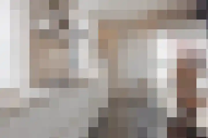 Julianalaan 64 Raamsdonksveer thumbnail 4