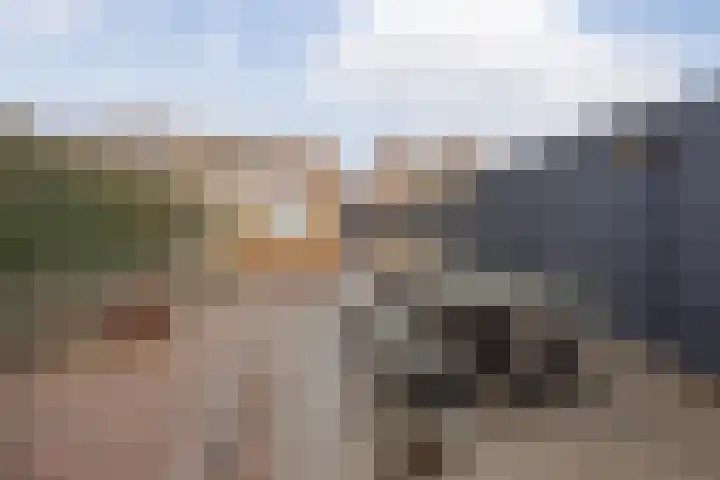 Julianalaan 64 Raamsdonksveer thumbnail 46