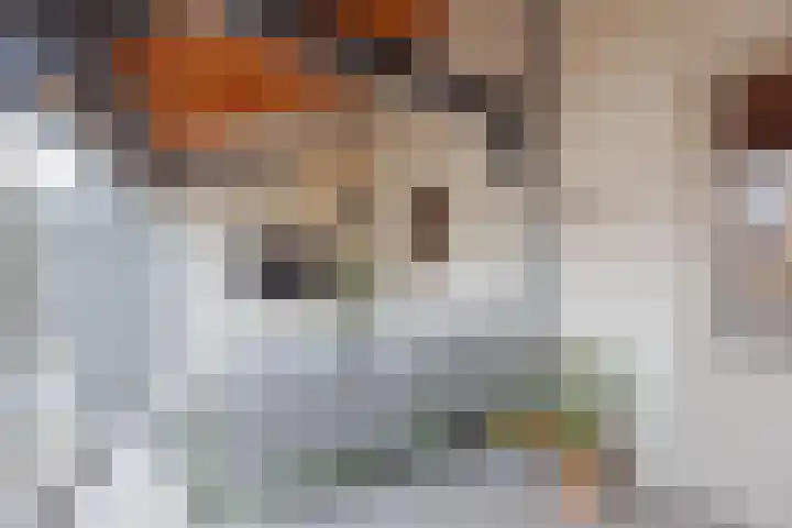 Julianalaan 64 Raamsdonksveer thumbnail 47
