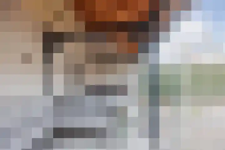Julianalaan 64 Raamsdonksveer thumbnail 48