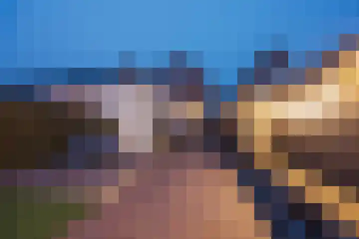 Julianalaan 64 Raamsdonksveer thumbnail 54