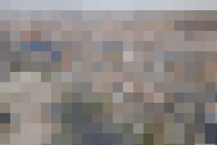 Julianalaan 64 Raamsdonksveer thumbnail 62