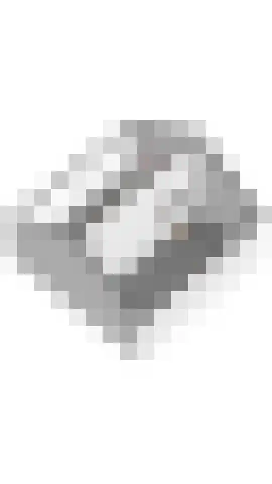 Julianalaan 64 Raamsdonksveer thumbnail 68