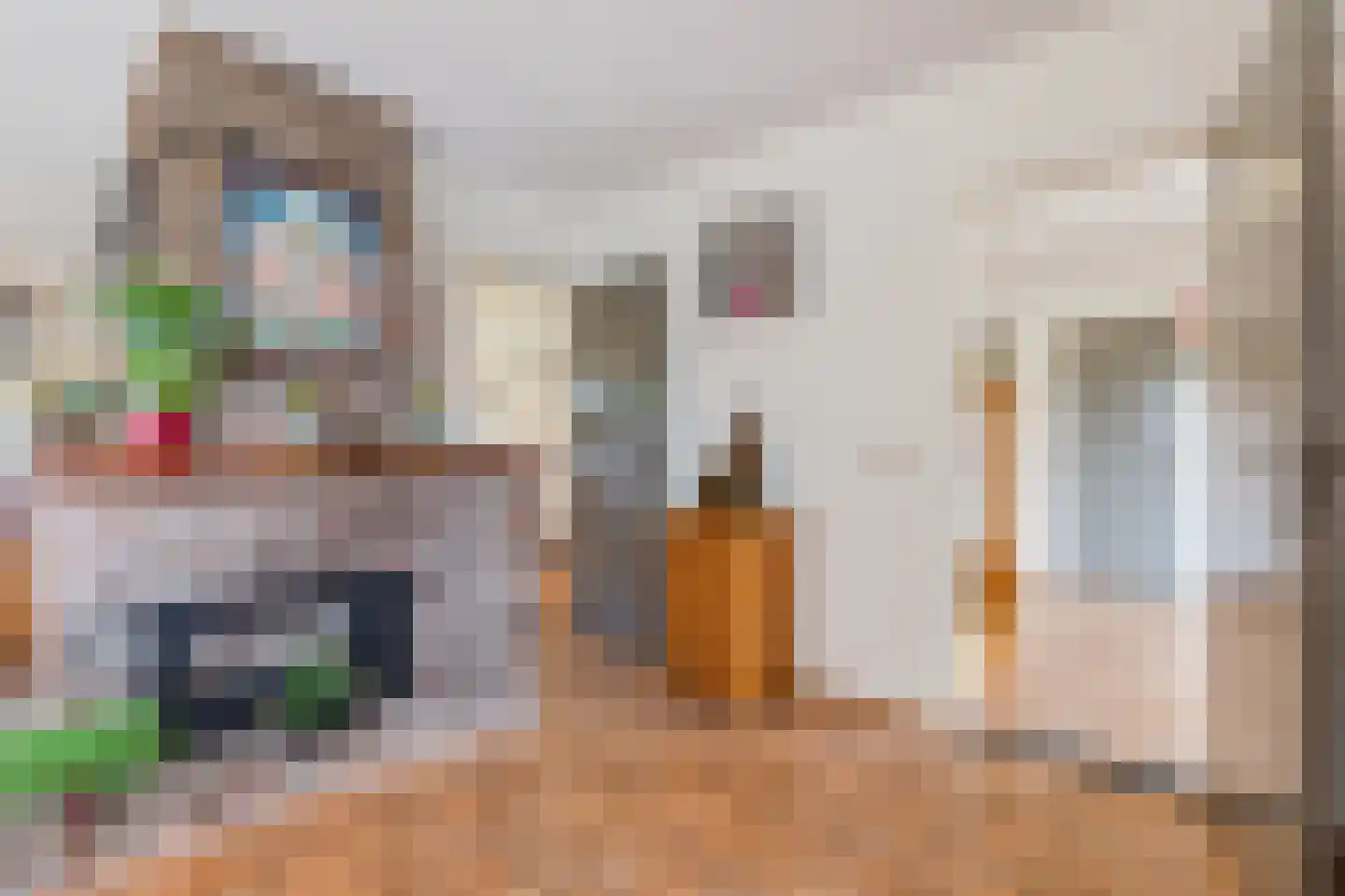 Julianalaan 65 Maasbracht thumbnail 13