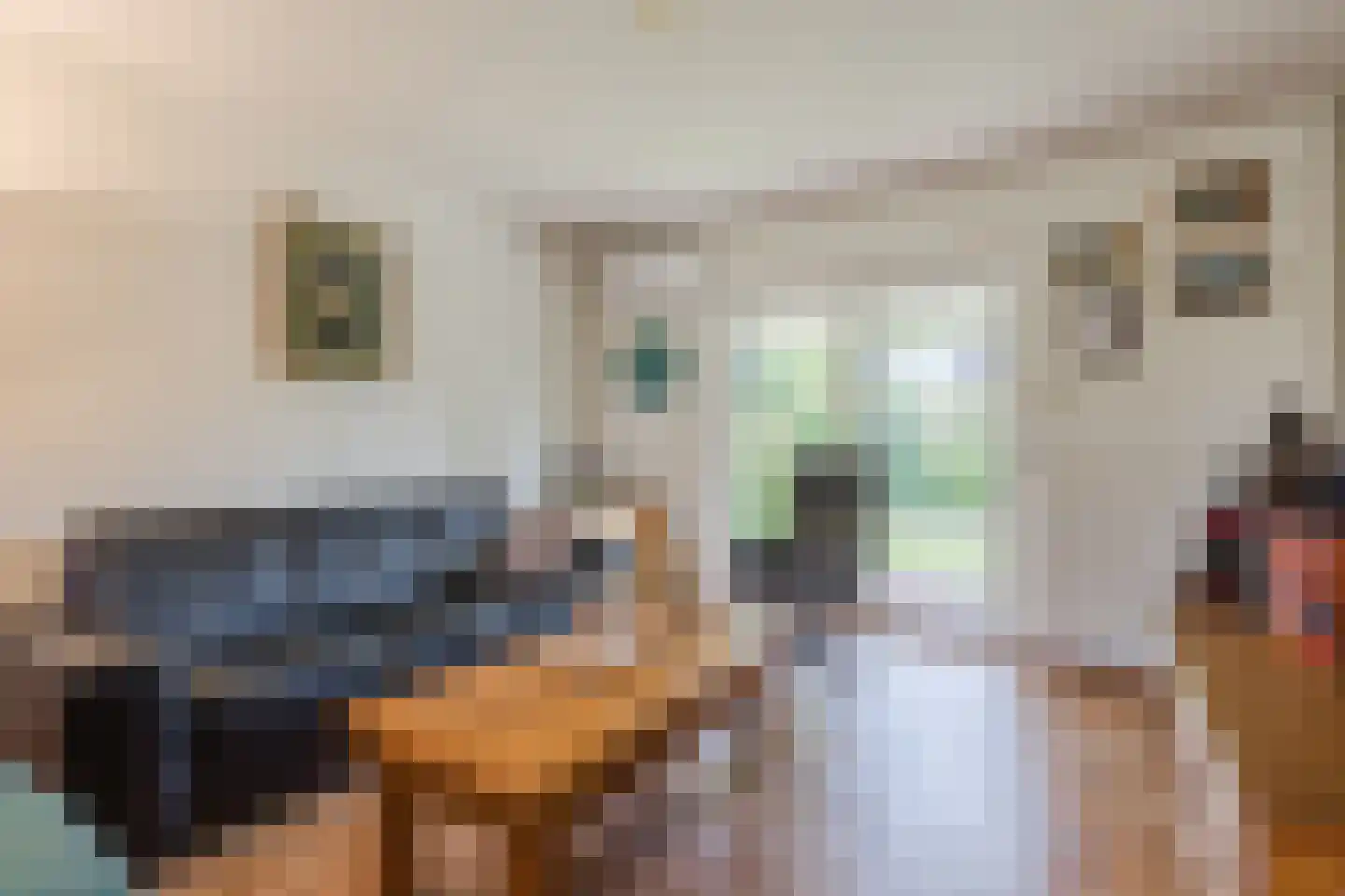 Julianalaan 65 Maasbracht thumbnail 14