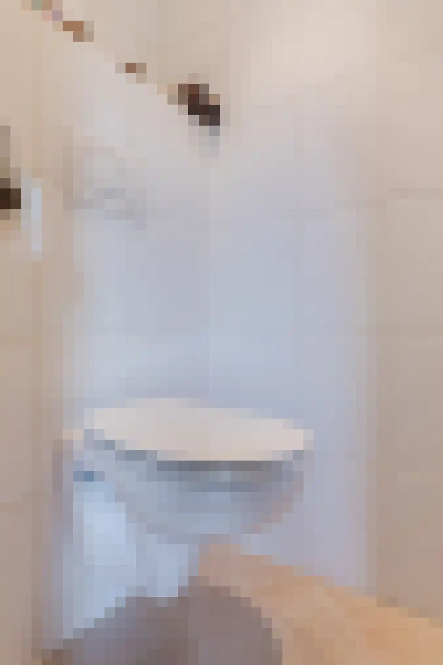 Julianalaan 65 Maasbracht thumbnail 21