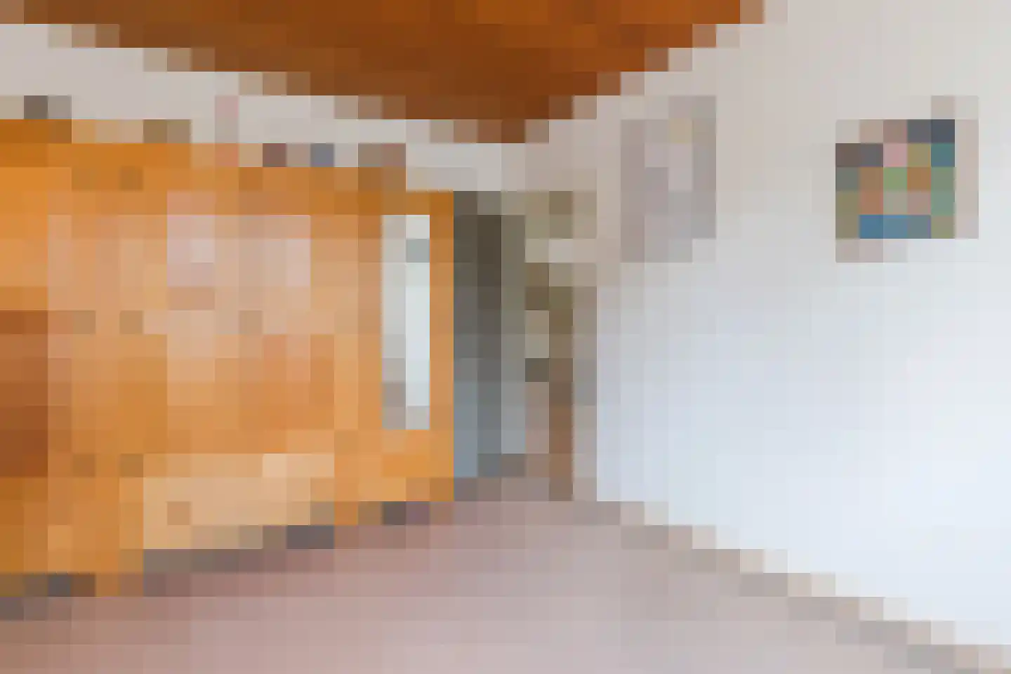 Julianalaan 65 Maasbracht thumbnail 23