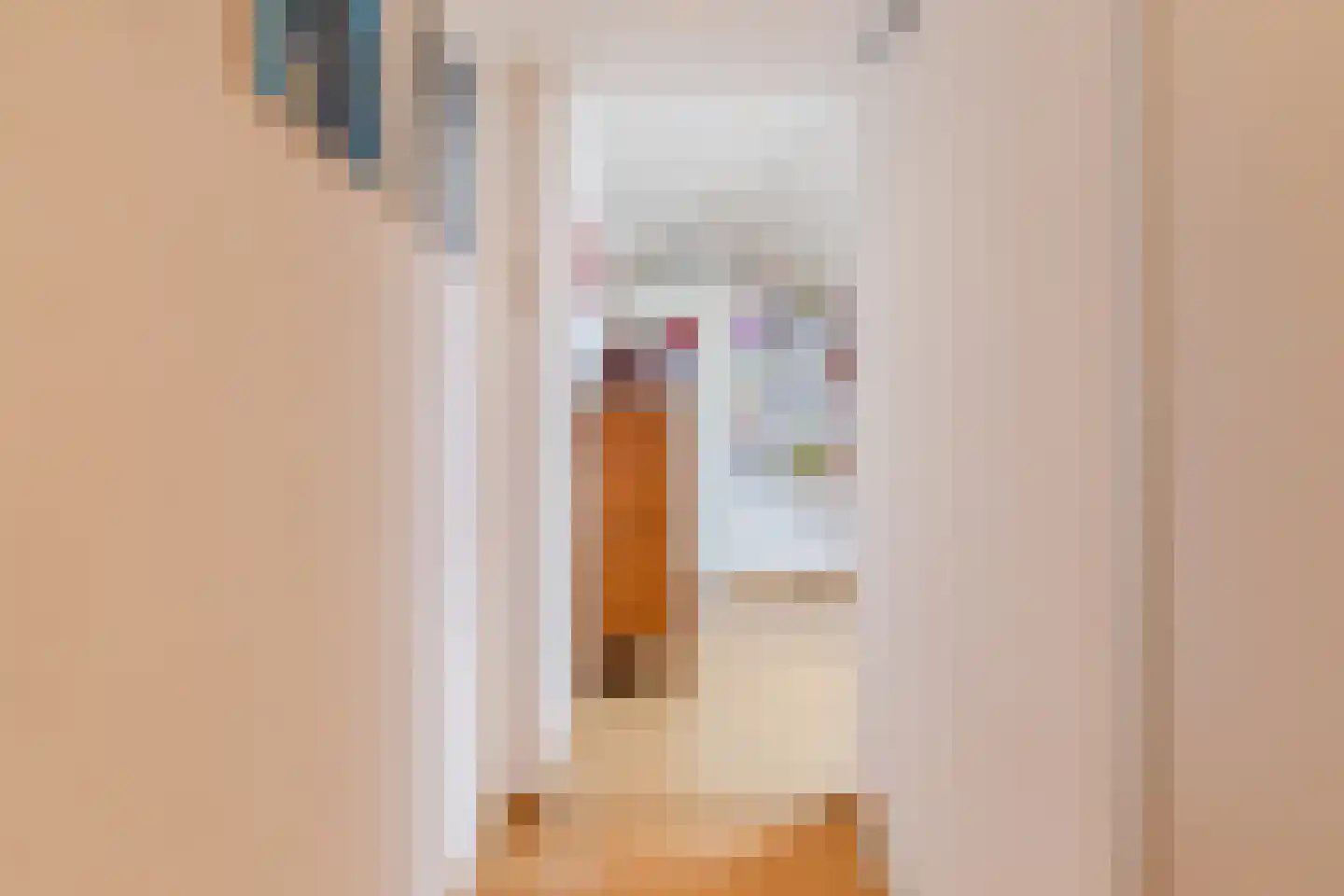 Julianalaan 65 Maasbracht thumbnail 30