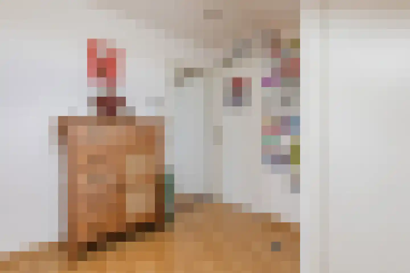 Julianalaan 65 Maasbracht thumbnail 31